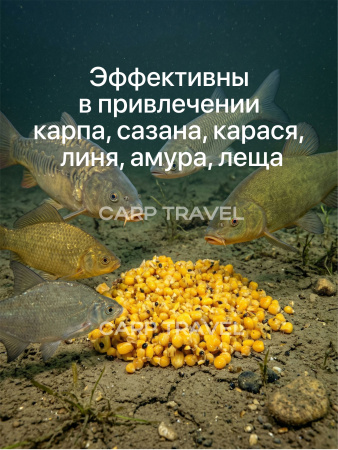 Зерновые горох кука 8