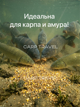 Зерновая смесь Carptravel  вакуум 1 кг (Спод Микс) 6