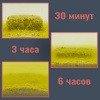 Прикормка Carpomaniya пресованная 10 куб. Premium 450 г (Клубника) 5