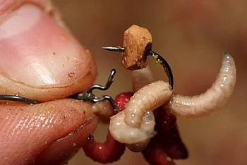 Клипса для опарыша Korda Maggot Klip Large   