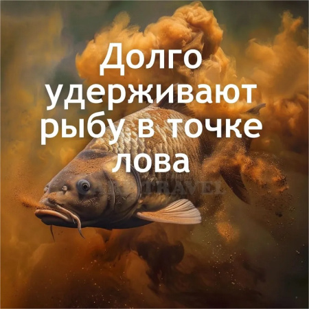 Жидкое питание GBS Baits Amino Liquid Tiger Nut  500 мл (Тигровый Орех) 4