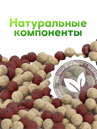 Бойлы тонущие GBS Baits Прикормочные Squidberry 20мм 1 кг (Кальмар Ягоды) 2