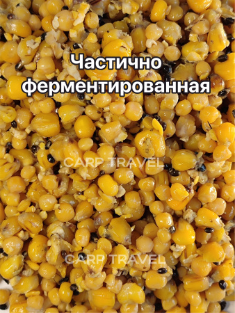 Зерновые горох кука 4