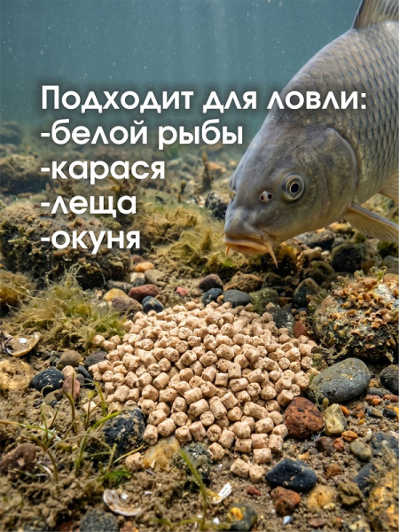 Пеллетс Carptravel Pellets Garlic 2мм 400 г (Чеснок)   Белый3